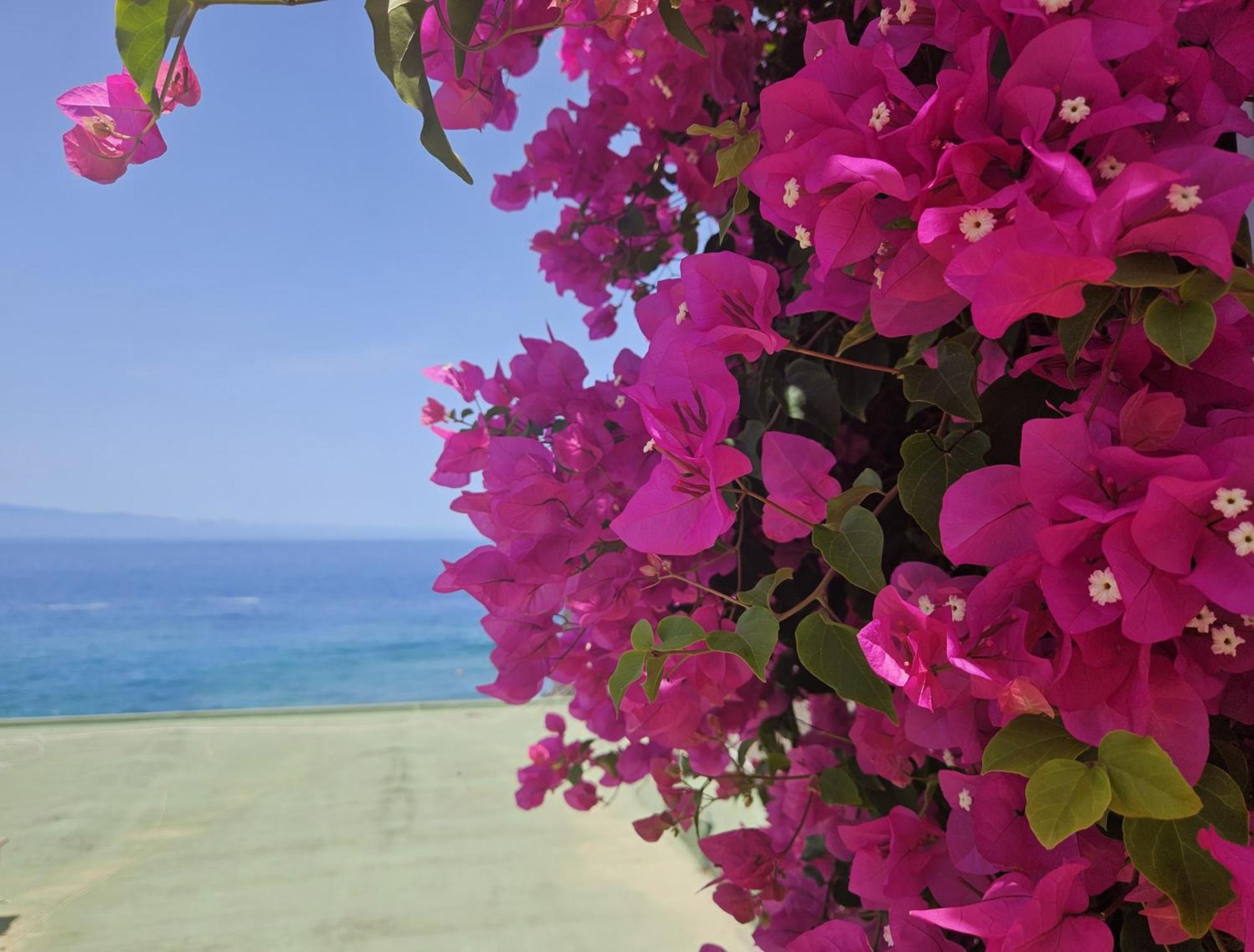 Paulmarie Apartment Playa La Arena 푸에르토 데 산티아고 외부 사진